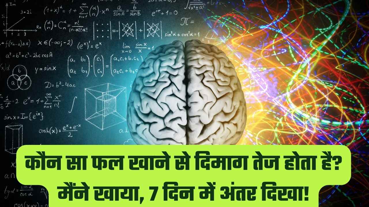 कौन सा फल खाने से दिमाग तेज होता है?