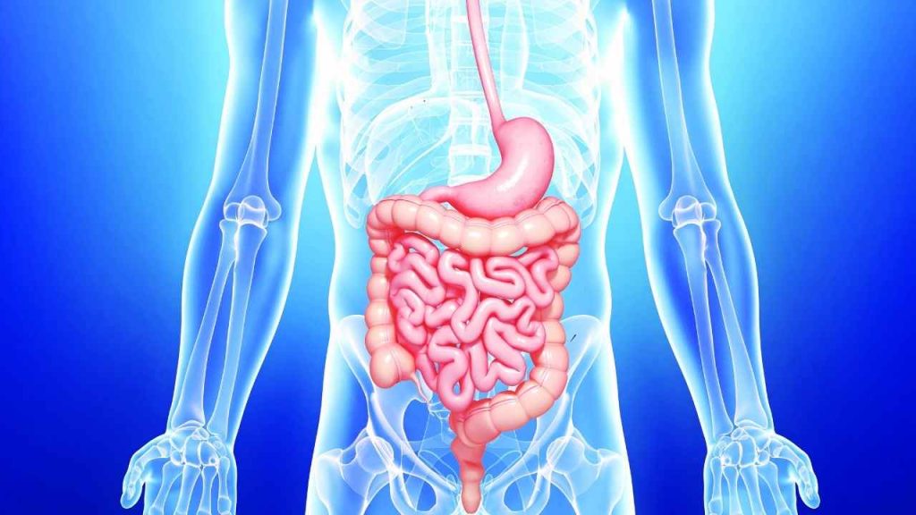 माइंडफुलनेस और पाचन का सीधा संबंध